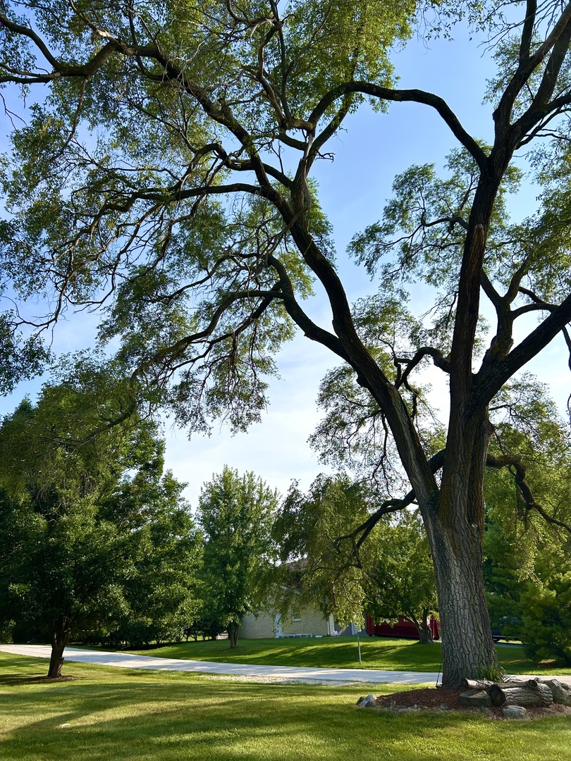 947 Ridgeland Avenue, Mundelein, IL 60060