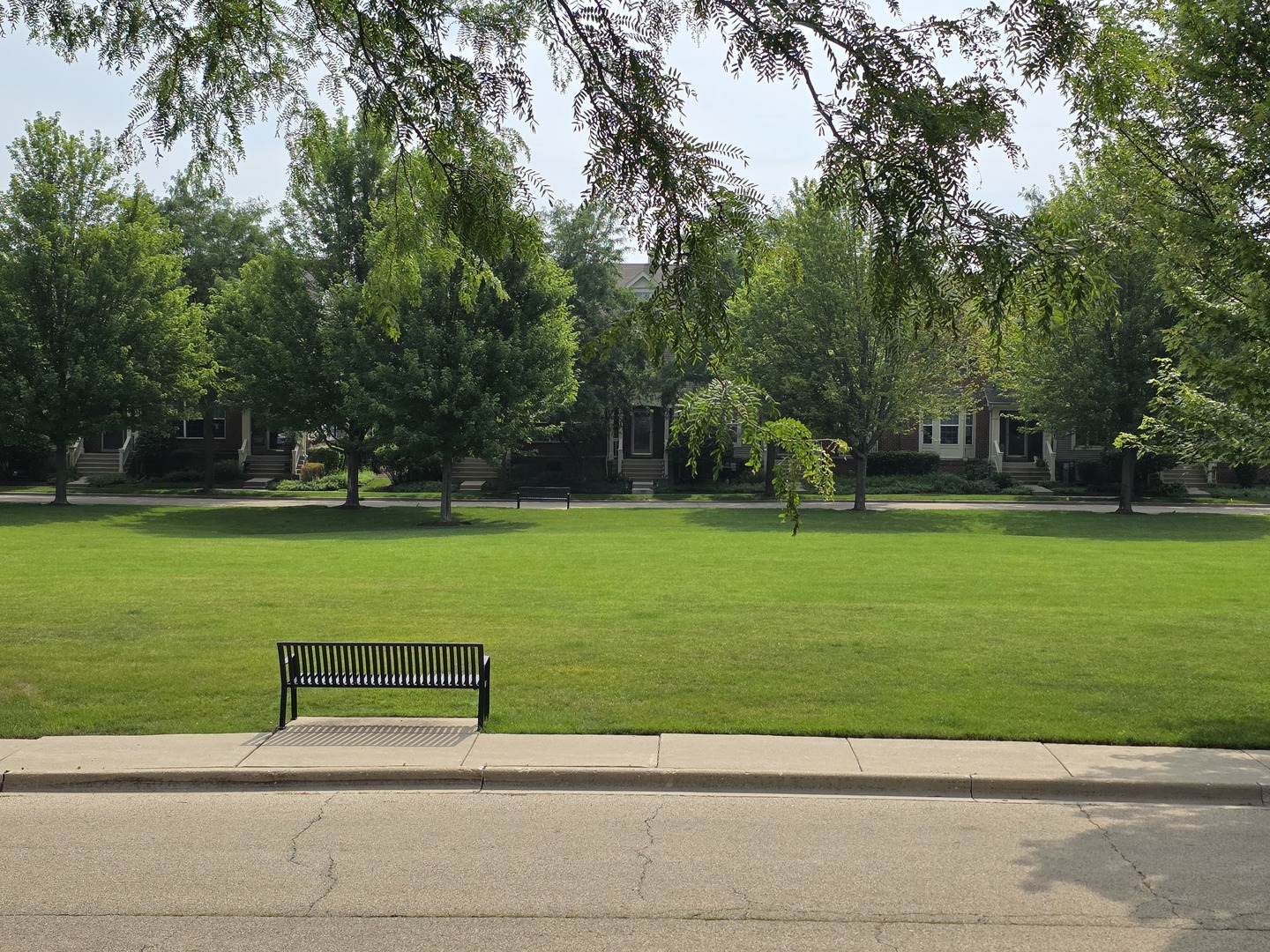 326 Broadmoor Lane #450, Bartlett, IL 60103