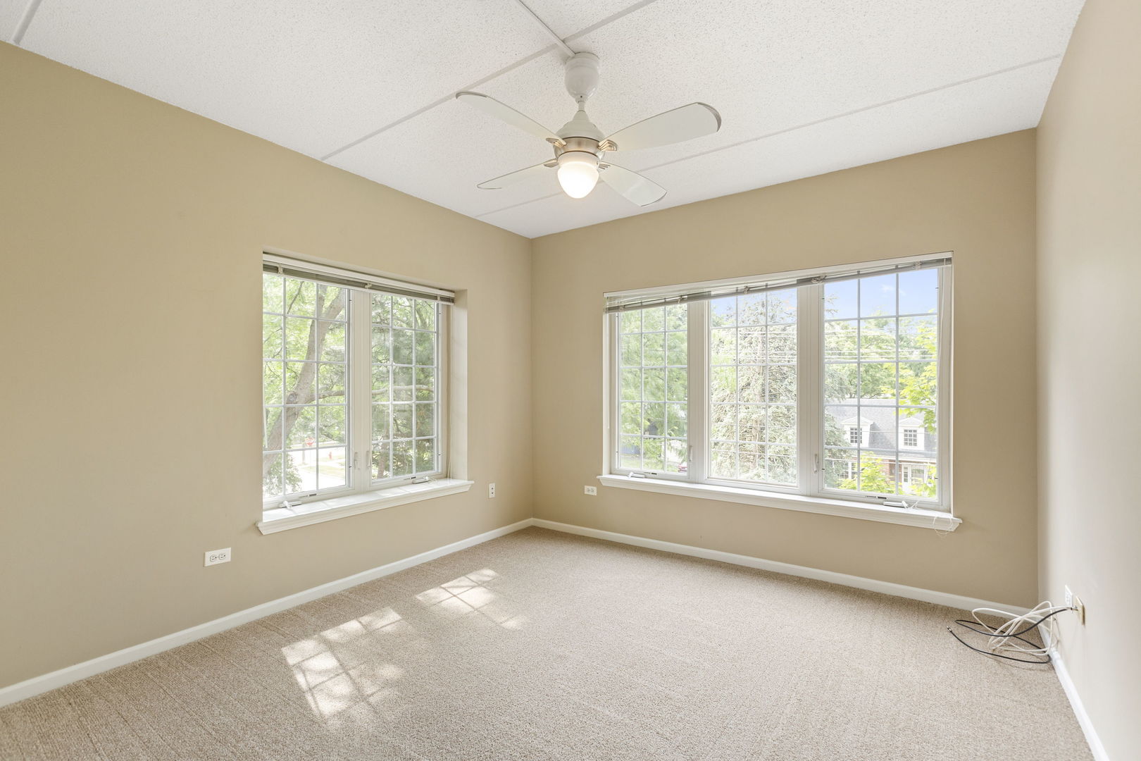 124 W Colfax Street #301, Palatine, IL 60067
