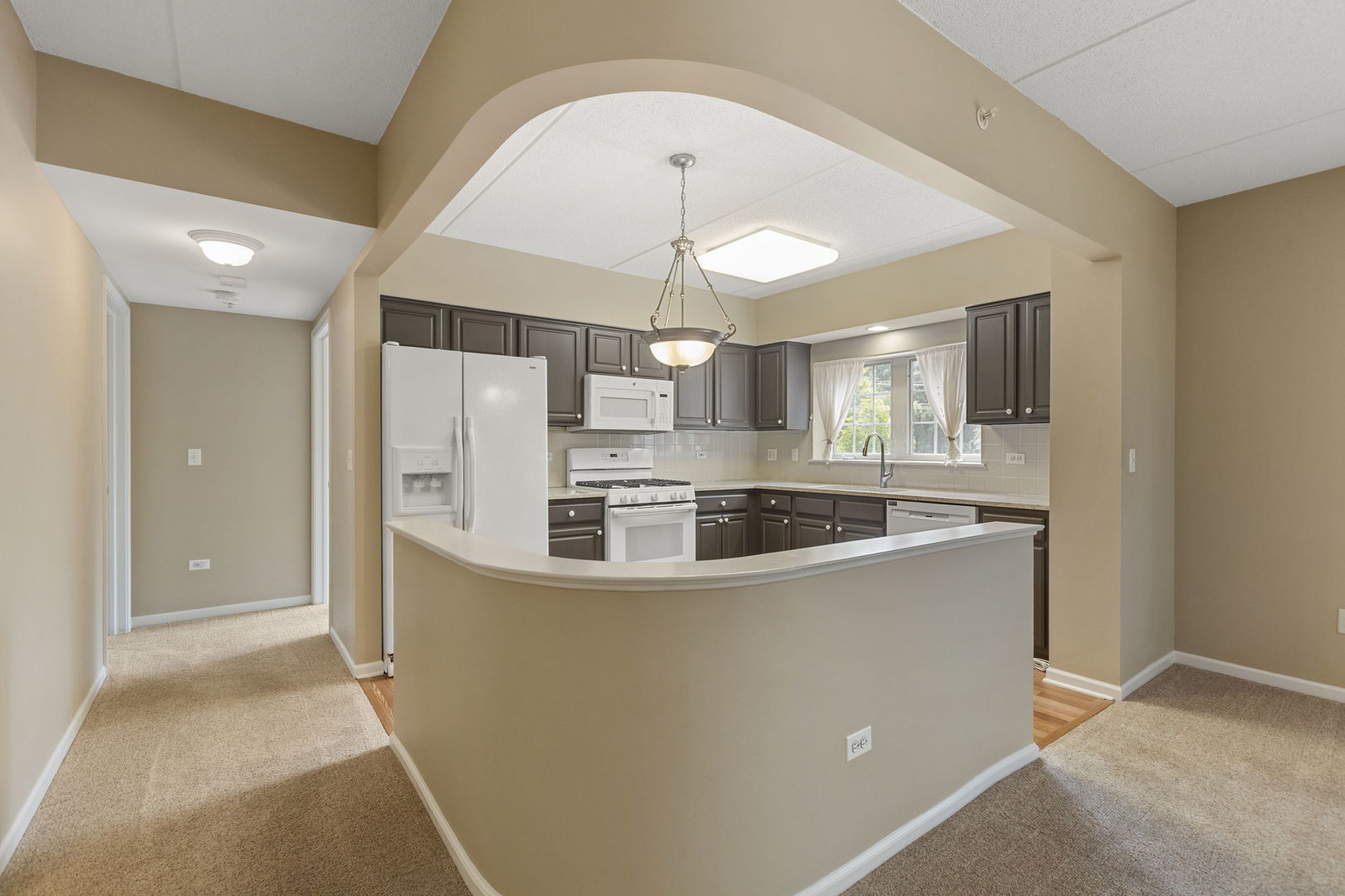 124 W Colfax Street #301, Palatine, IL 60067
