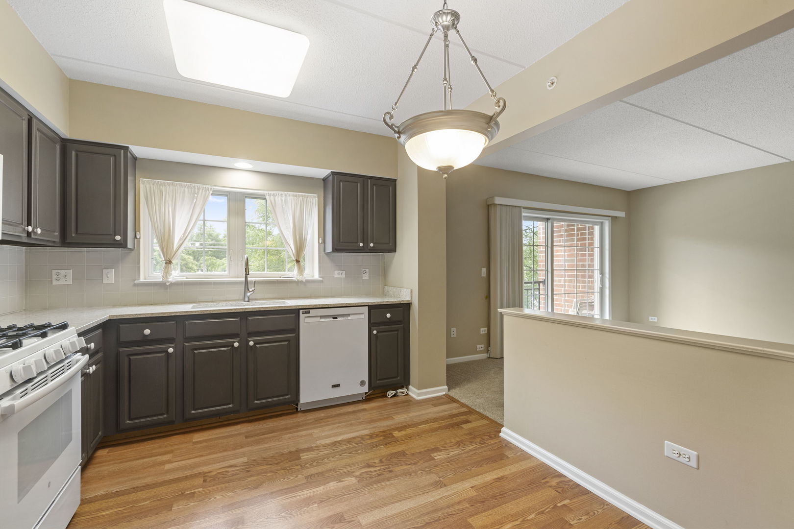 124 W Colfax Street #301, Palatine, IL 60067