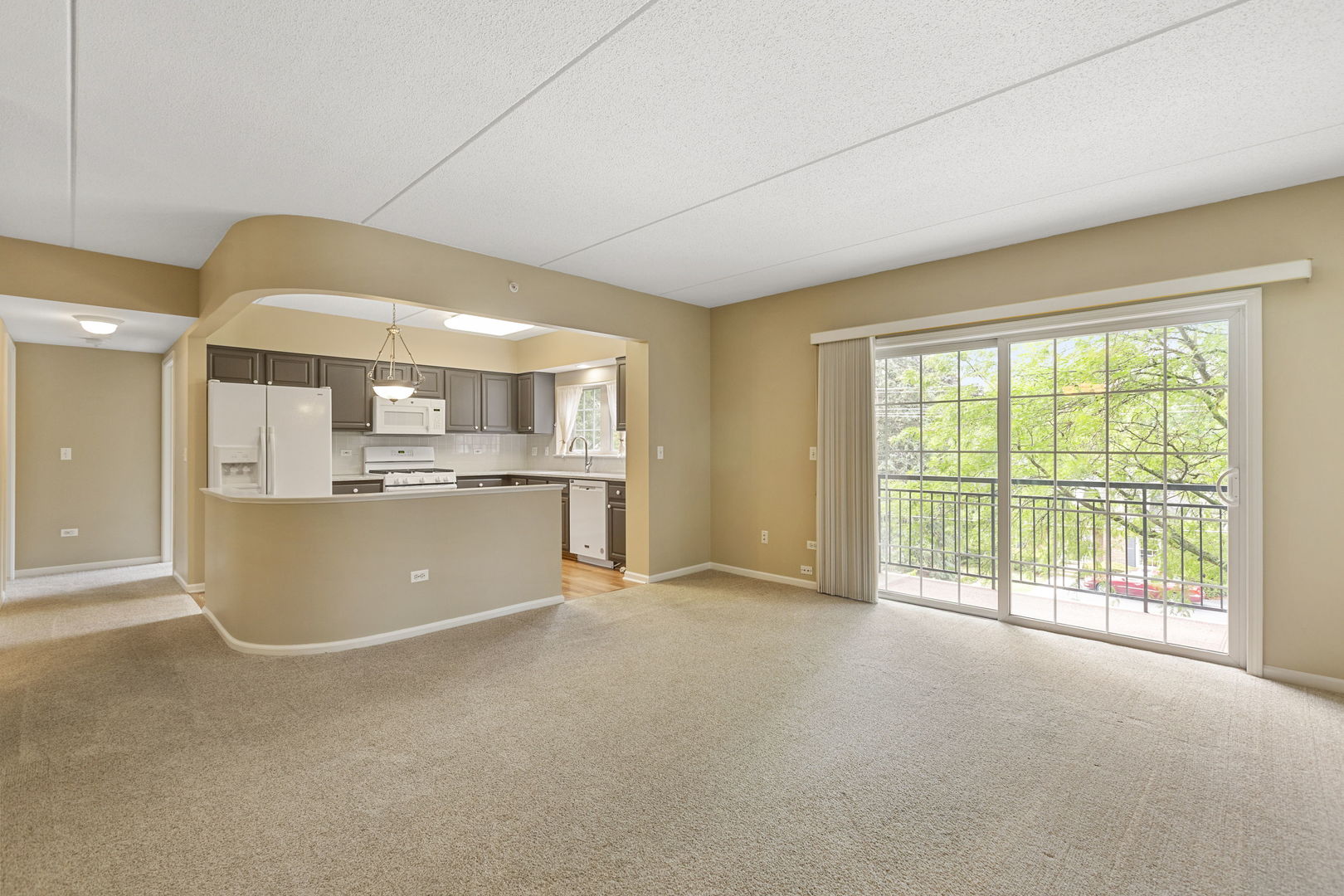 124 W Colfax Street #301, Palatine, IL 60067