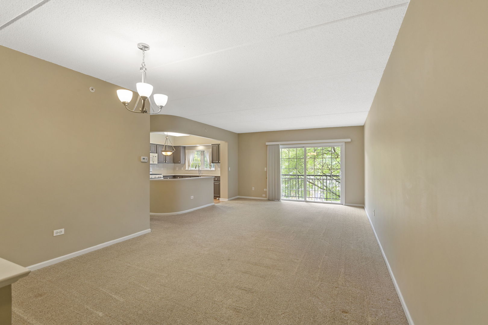 124 W Colfax Street #301, Palatine, IL 60067