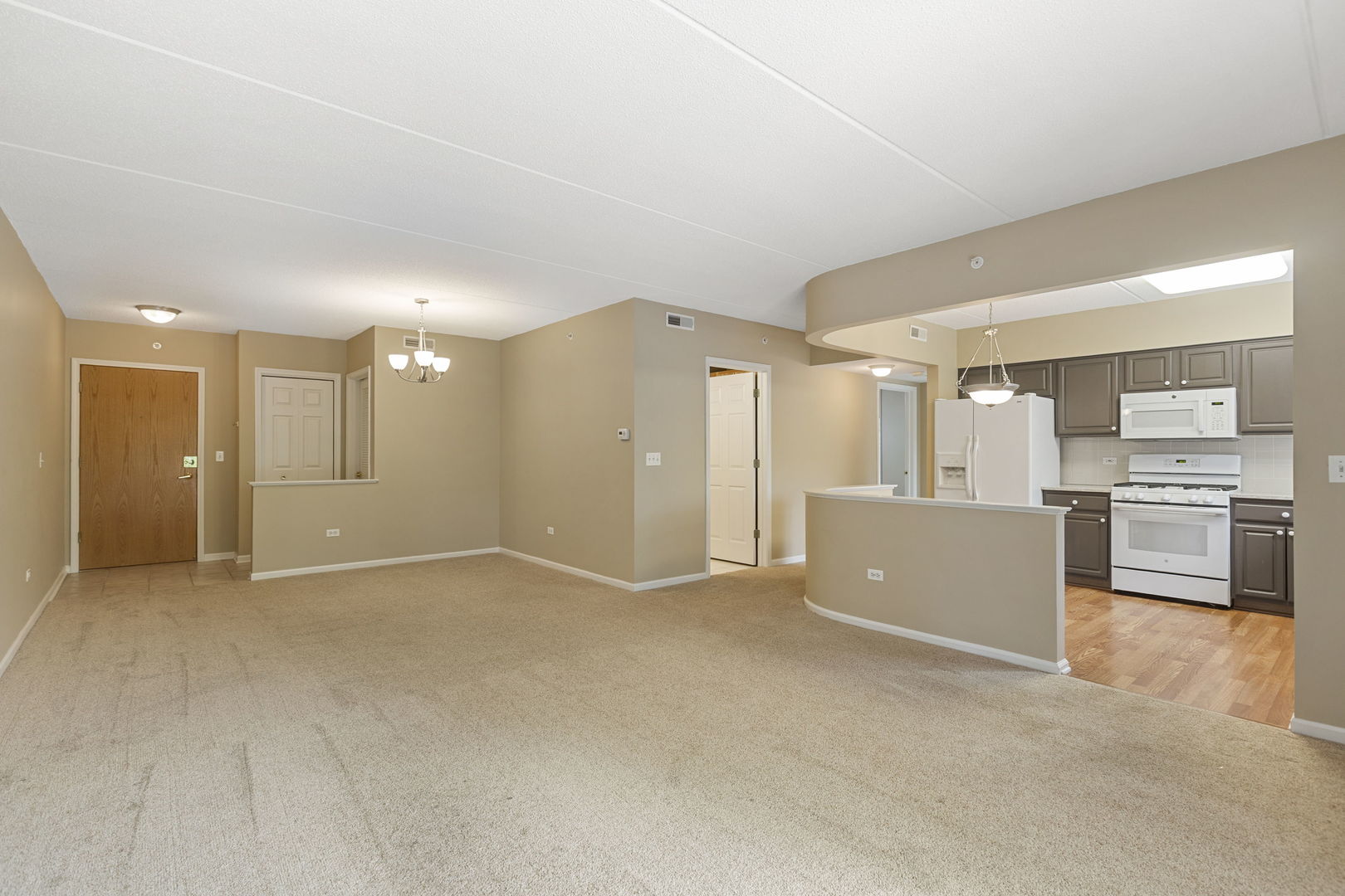 124 W Colfax Street #301, Palatine, IL 60067