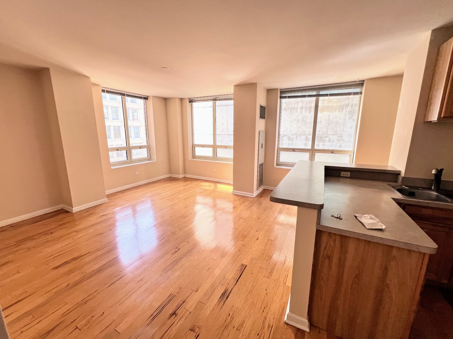 1111 S WABASH Avenue #705, Chicago, IL 60605