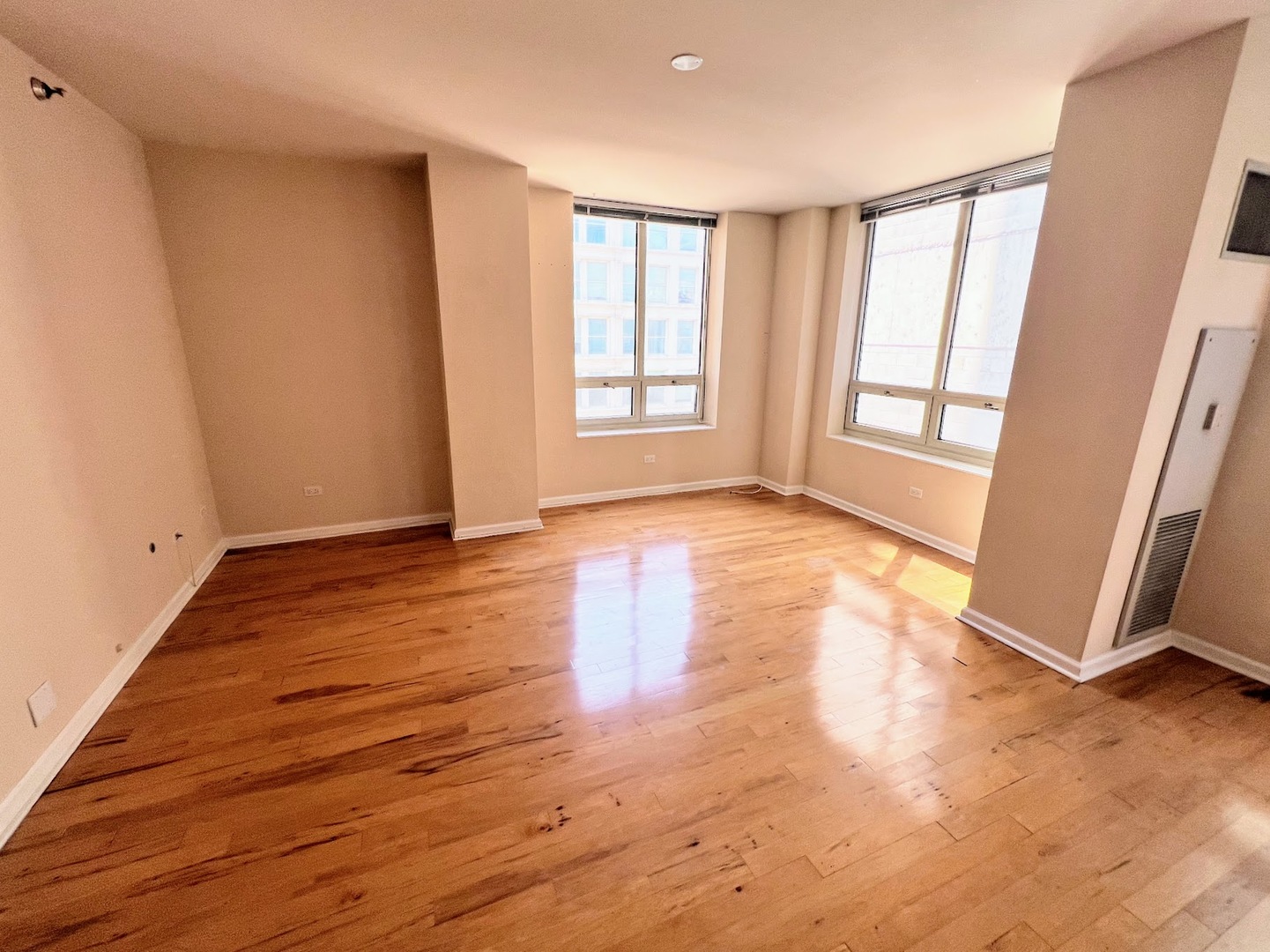 1111 S WABASH Avenue #705, Chicago, IL 60605