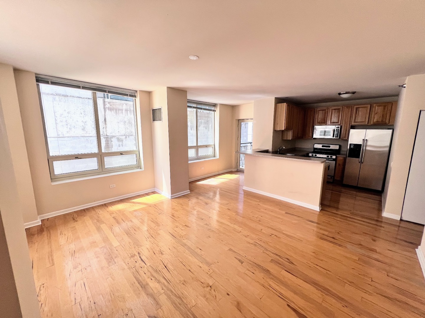 1111 S WABASH Avenue #705, Chicago, IL 60605