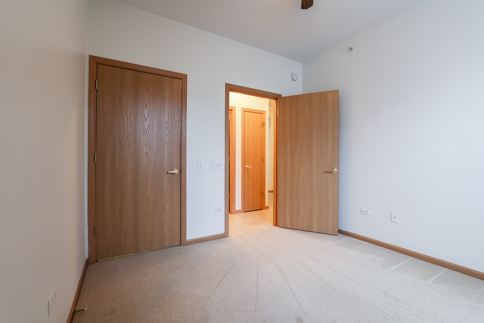 13386 Red Alder Avenue, Huntley, IL 60142