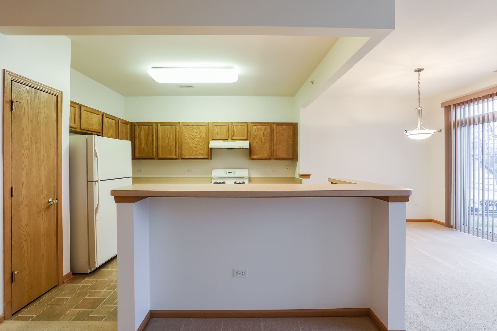 13386 Red Alder Avenue, Huntley, IL 60142