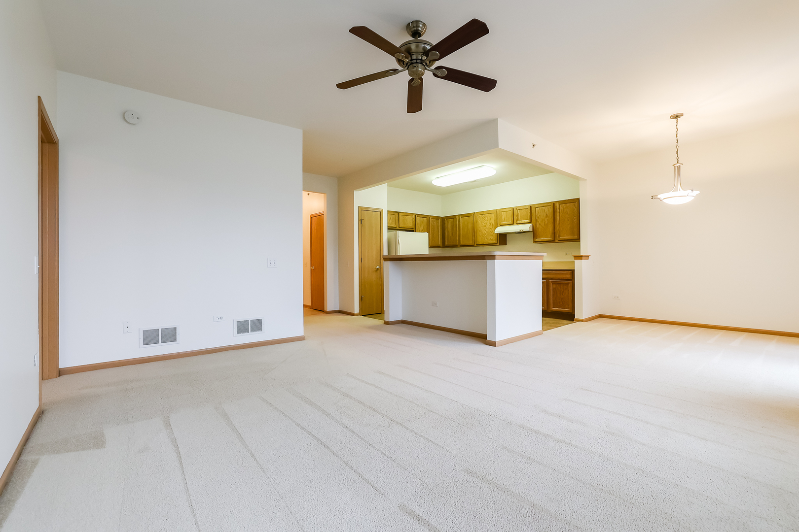 13386 Red Alder Avenue, Huntley, IL 60142