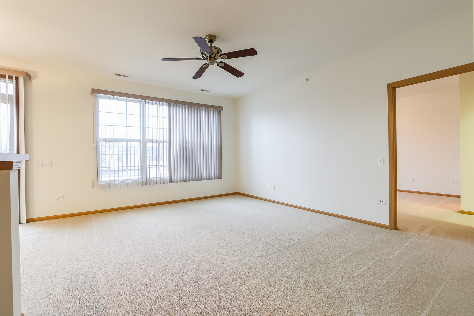 13386 Red Alder Avenue, Huntley, IL 60142
