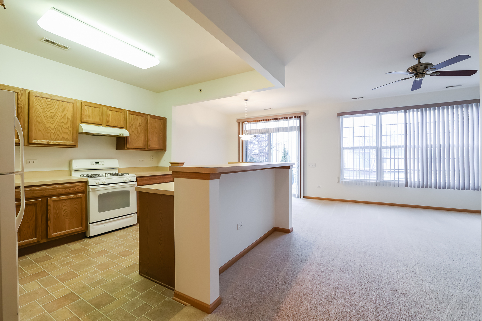 13386 Red Alder Avenue, Huntley, IL 60142
