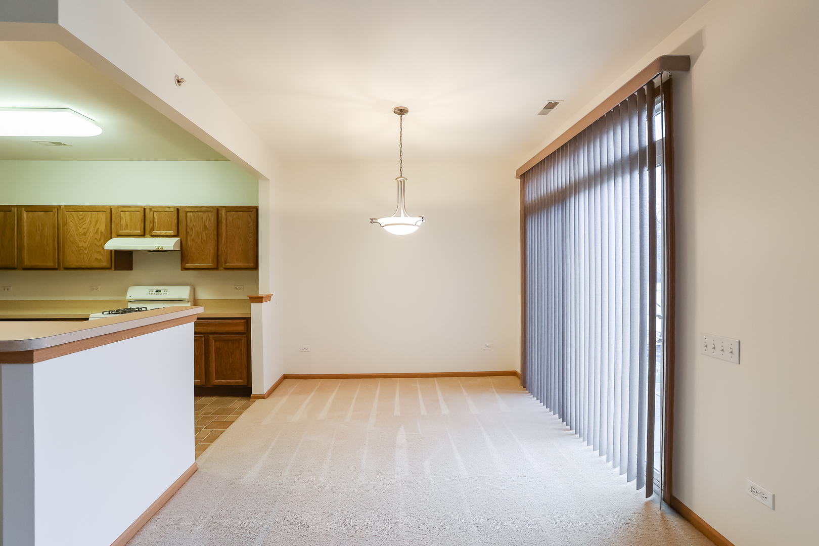 13386 Red Alder Avenue, Huntley, IL 60142