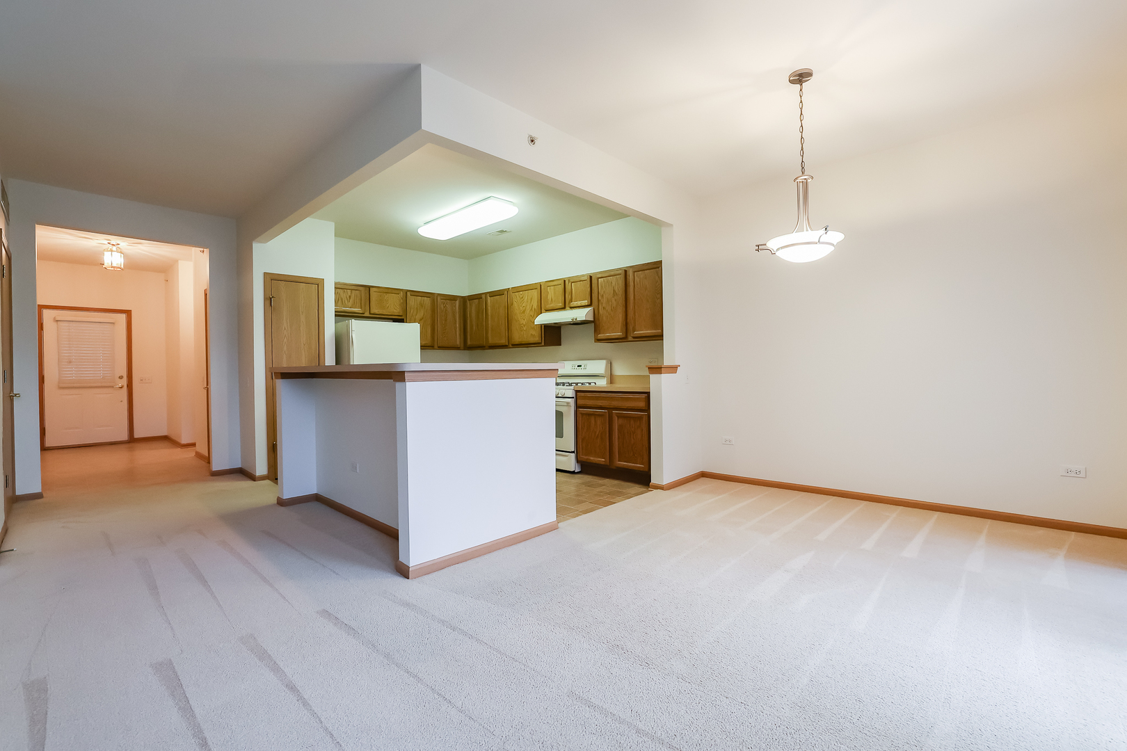 13386 Red Alder Avenue, Huntley, IL 60142