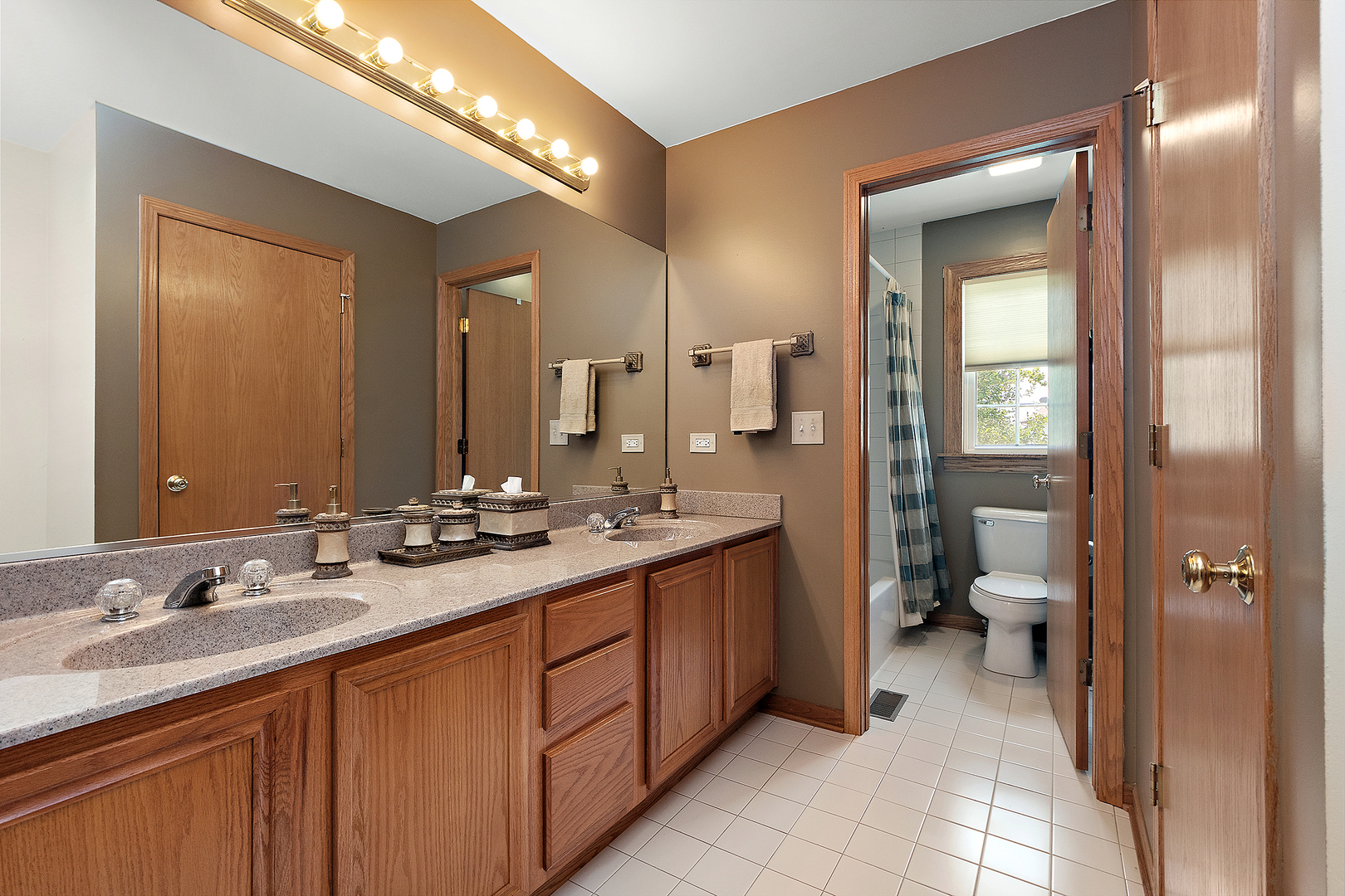 8643 SHIRE Court, Frankfort, IL 60423