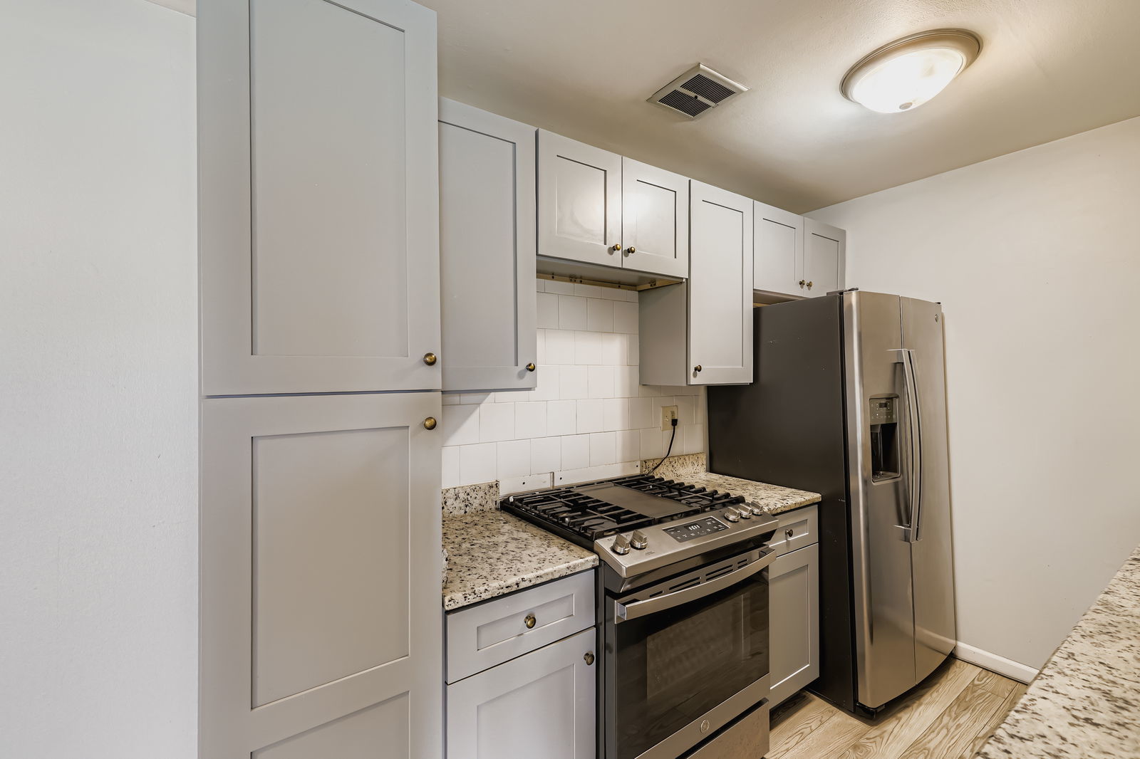 870 Winesap Court #103, Prospect Heights, IL 60070