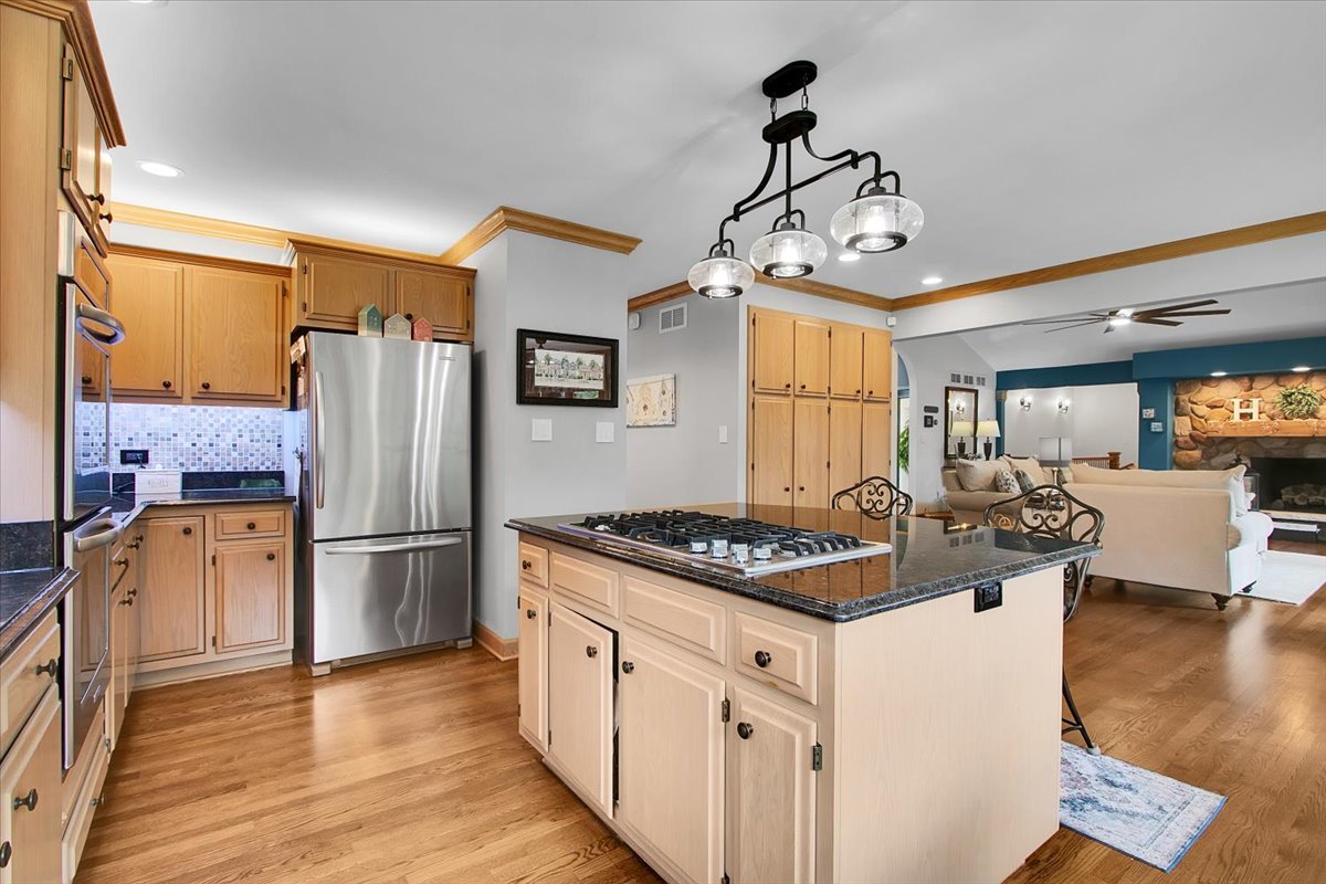 16762 S Deer Path Drive, Homer Glen, IL 60491