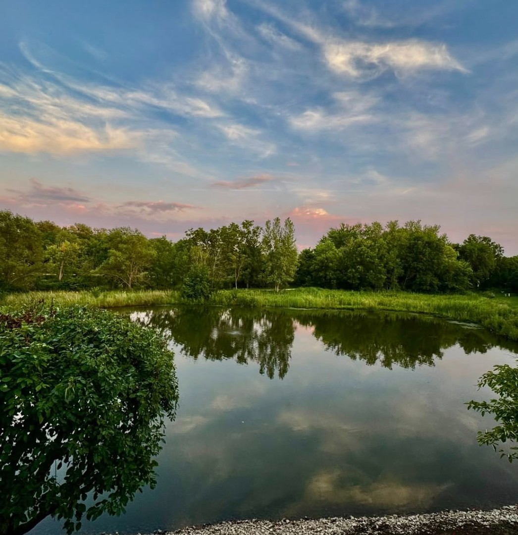 216 River Mist Court, Oswego, IL 60543