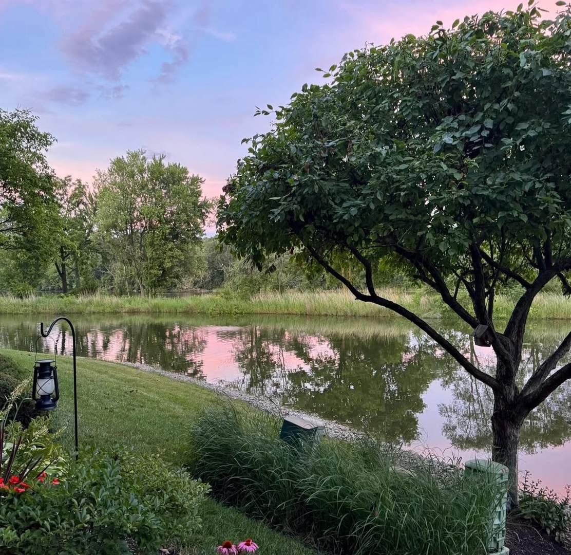 216 River Mist Court, Oswego, IL 60543