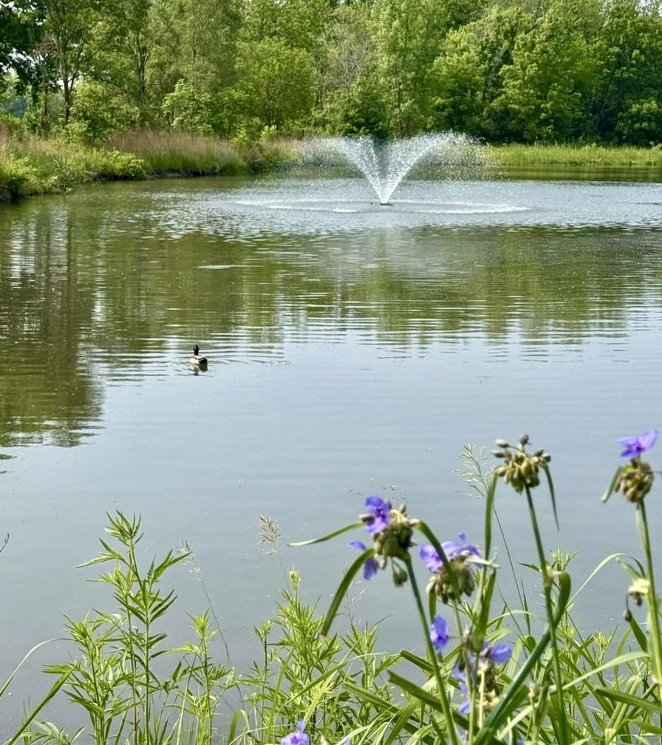 216 River Mist Court, Oswego, IL 60543