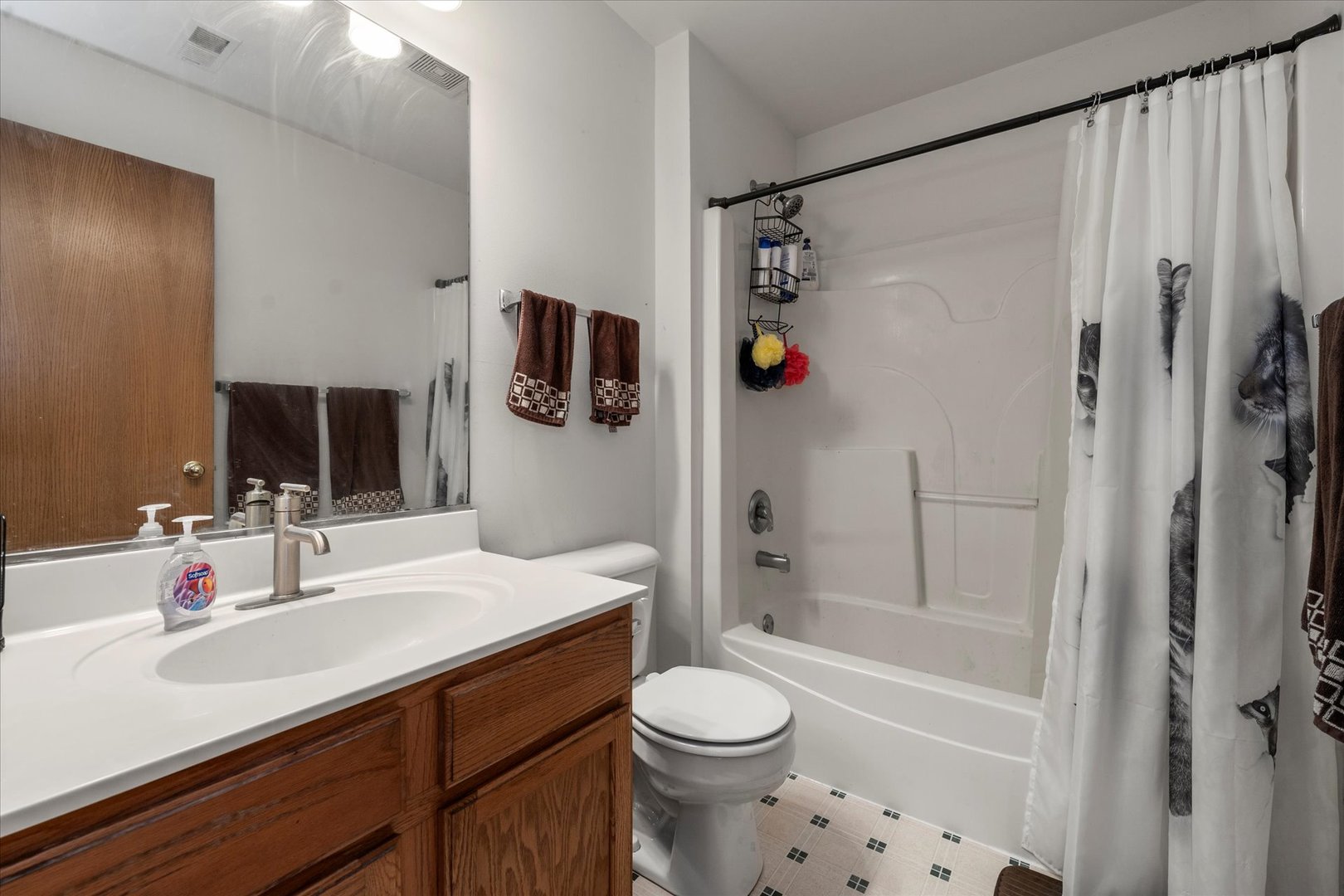 267 Gregory M Sears Drive, Gilberts, IL 60136