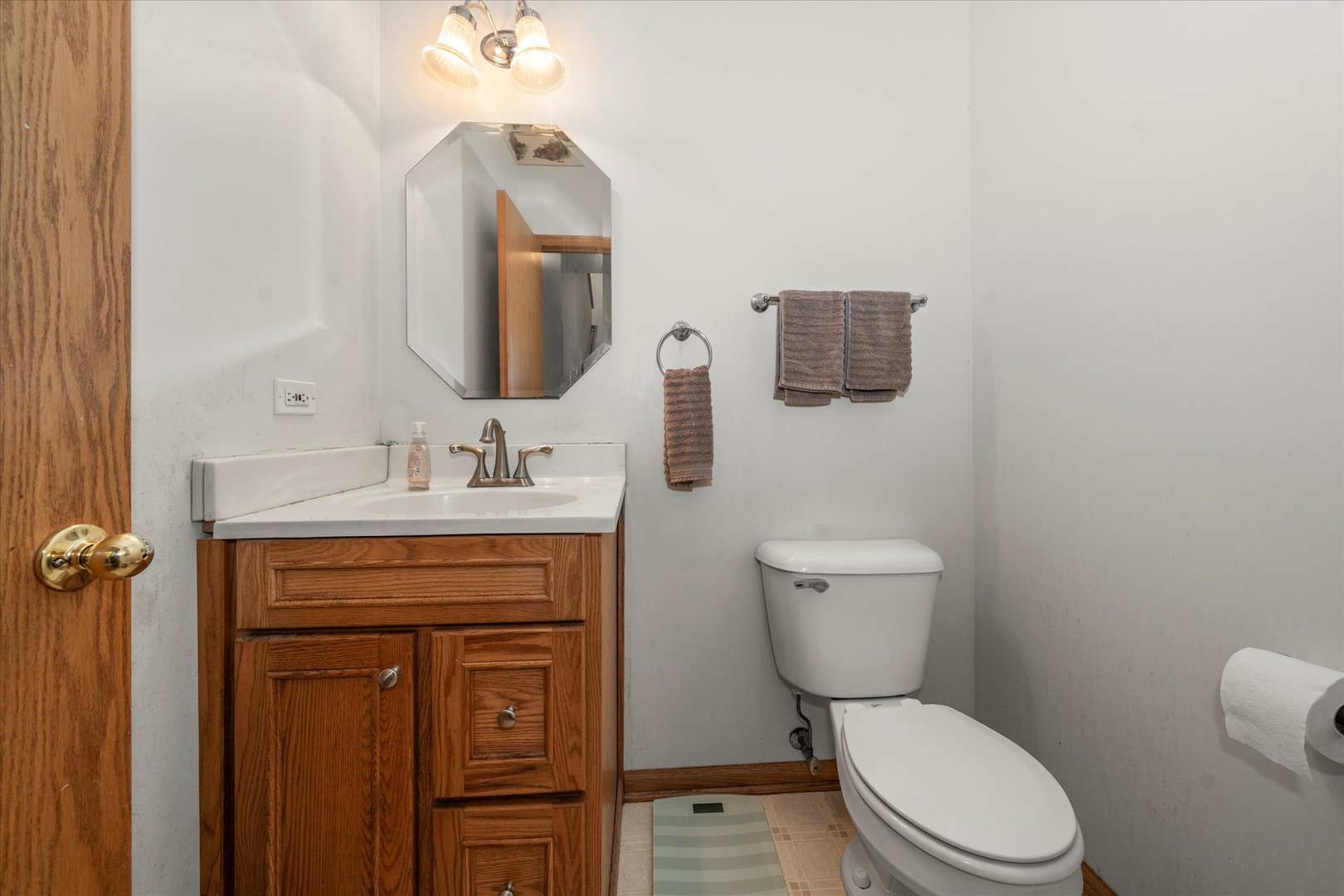 267 Gregory M Sears Drive, Gilberts, IL 60136