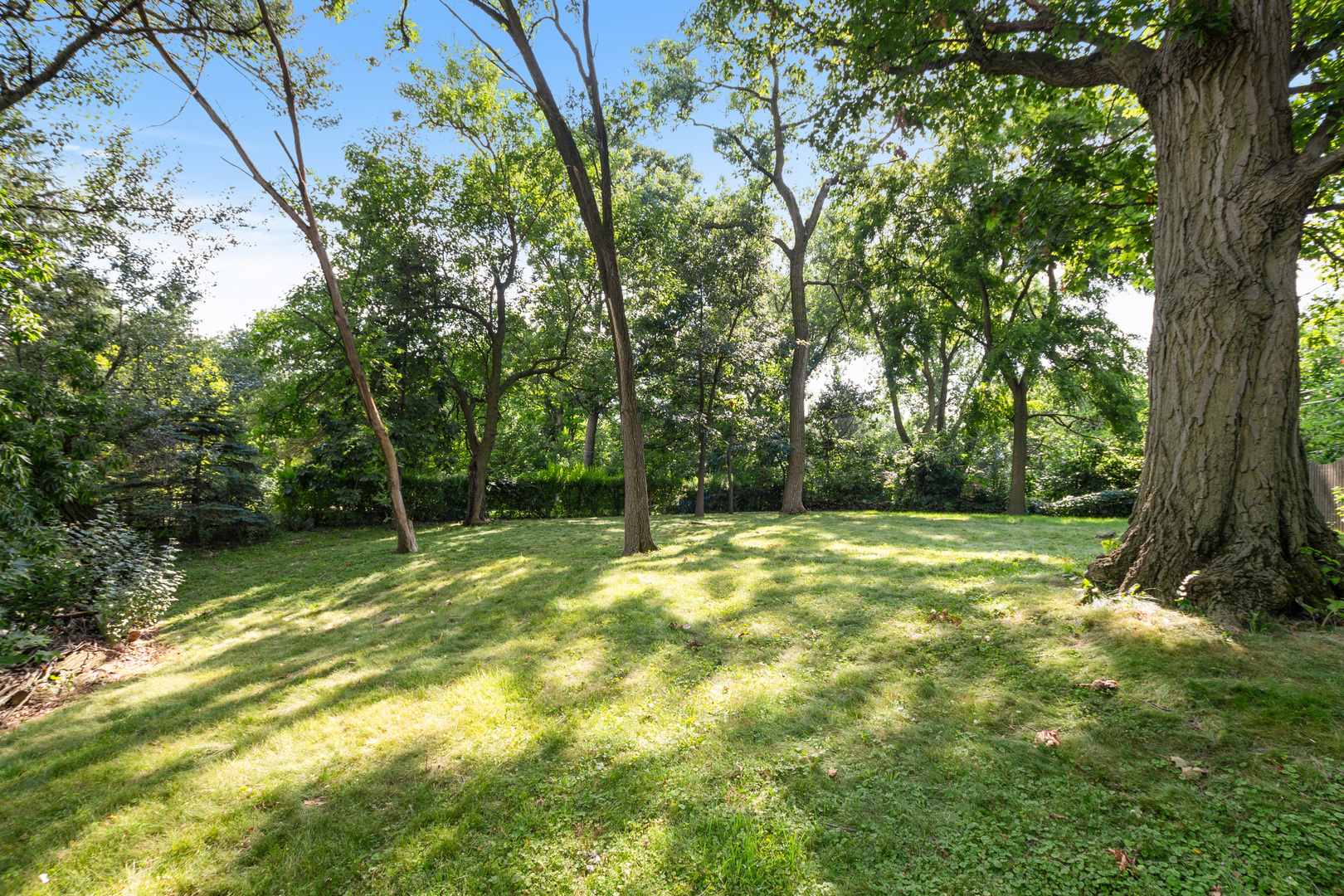 9940 S Wood Lane, Palos Hills, IL 60465