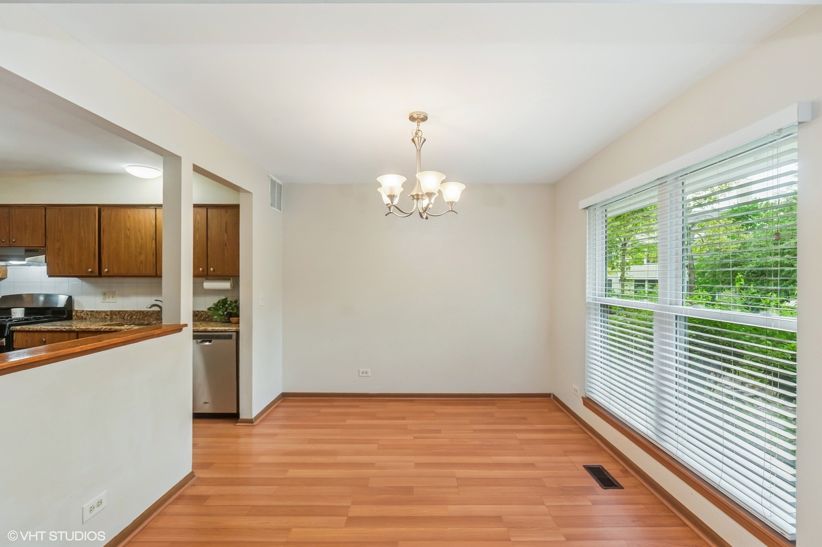 251 Cobblestone Court, Schaumburg, IL 60173