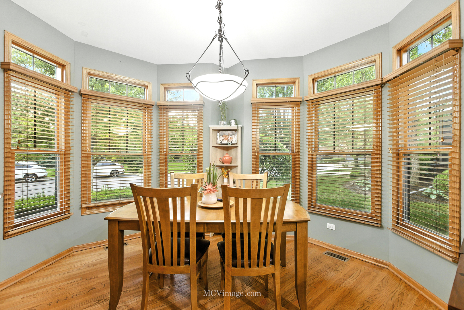21730 Higley Lane, Frankfort, IL 60423
