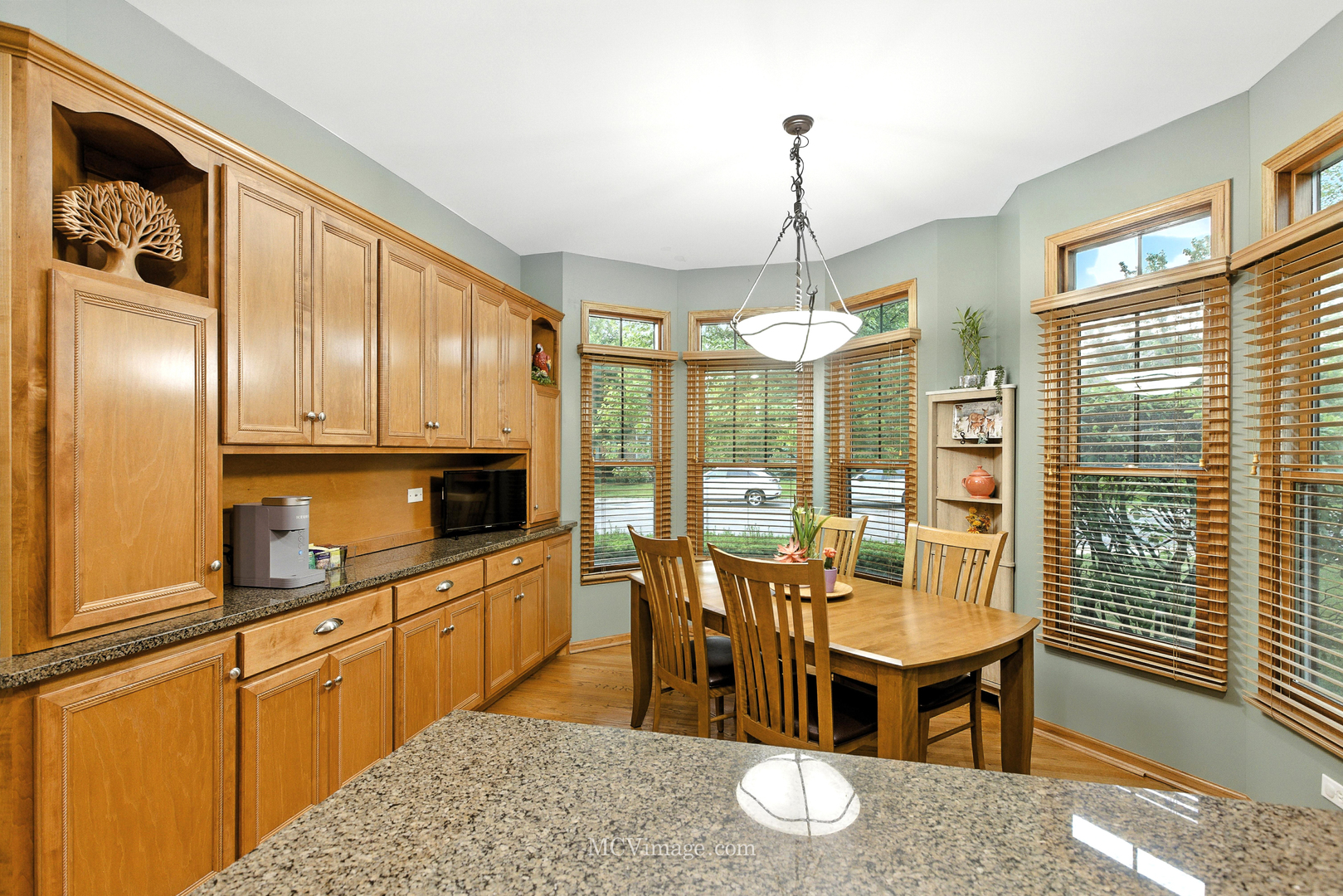 21730 Higley Lane, Frankfort, IL 60423