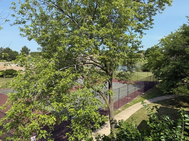 1810 Hemlock Place #304, Schaumburg, IL 60173