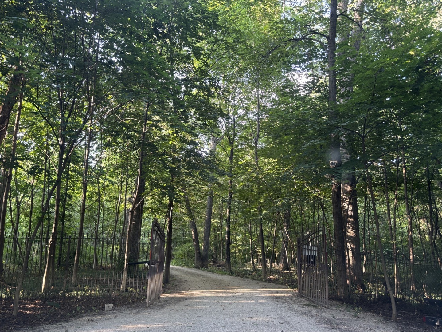 29W101 Morris Court, Warrenville, IL 60555