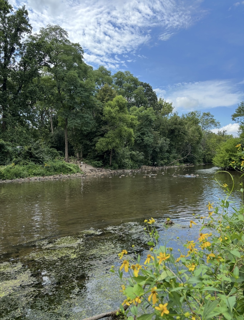 29W101 Morris Court, Warrenville, IL 60555