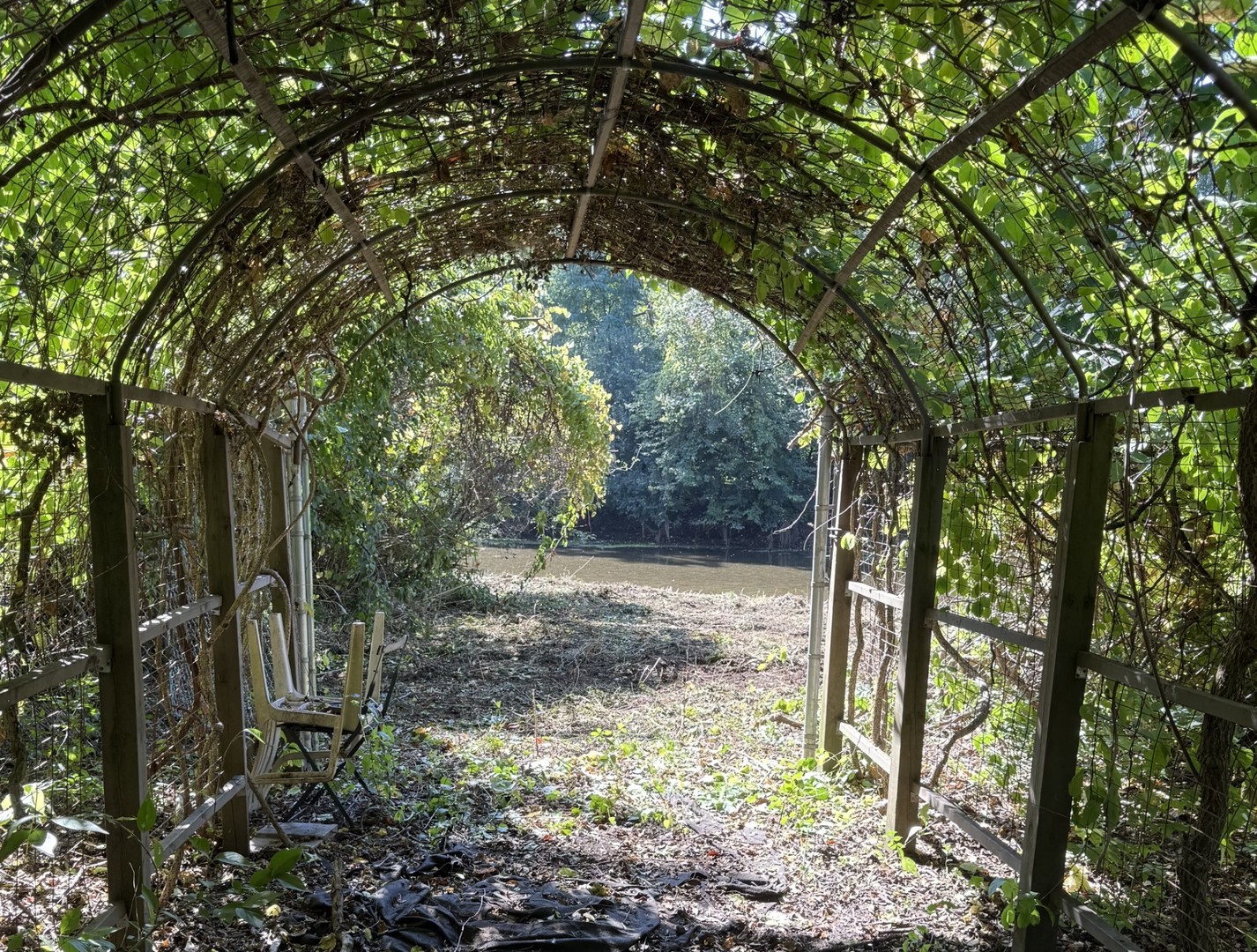 29W101 Morris Court, Warrenville, IL 60555