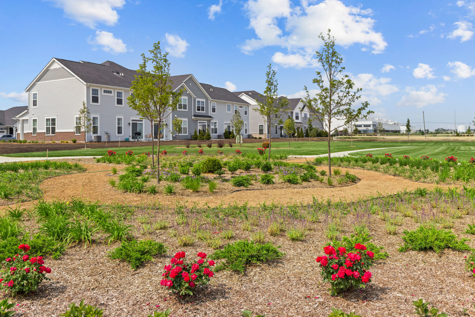 25447 W Emory Lane, Plainfield, IL 60544