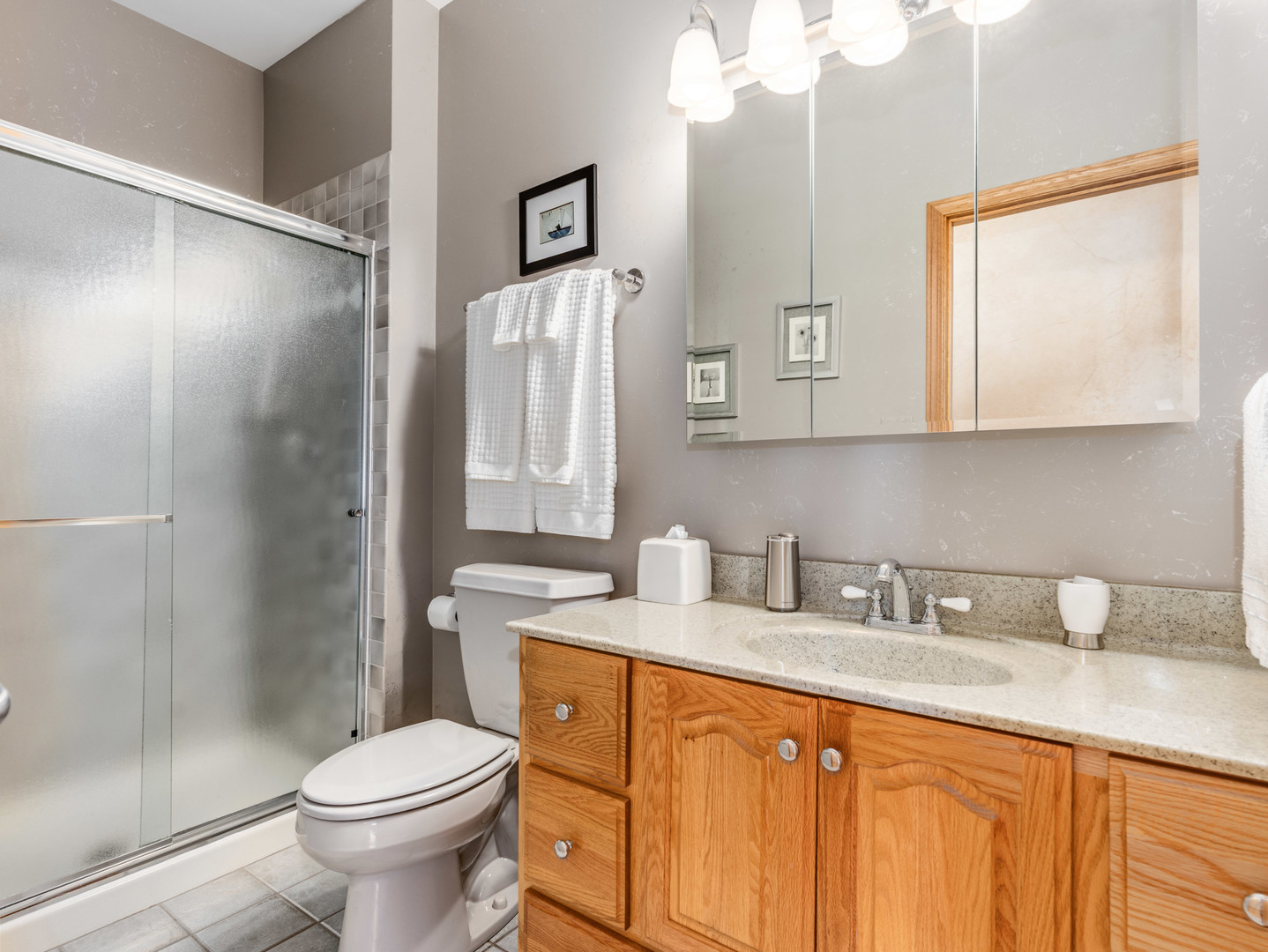 12451 Anand Brook Drive, Orland Park, IL 60467