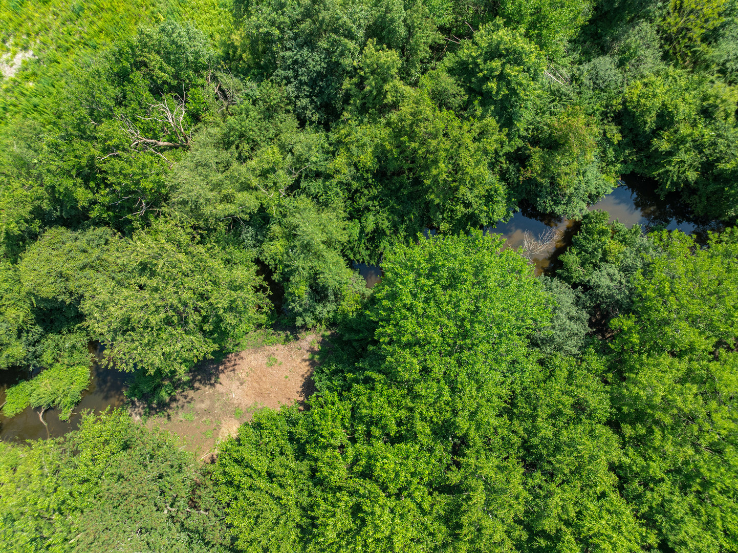 12451 Anand Brook Drive, Orland Park, IL 60467