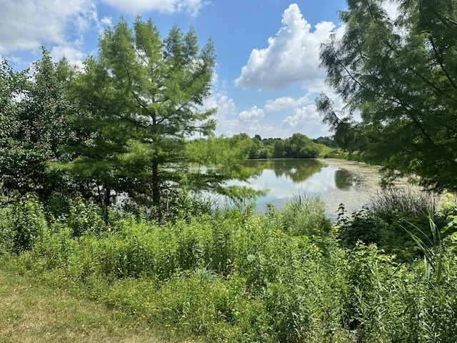 12840 SHENANDOAH Trail, Plainfield, IL 60585