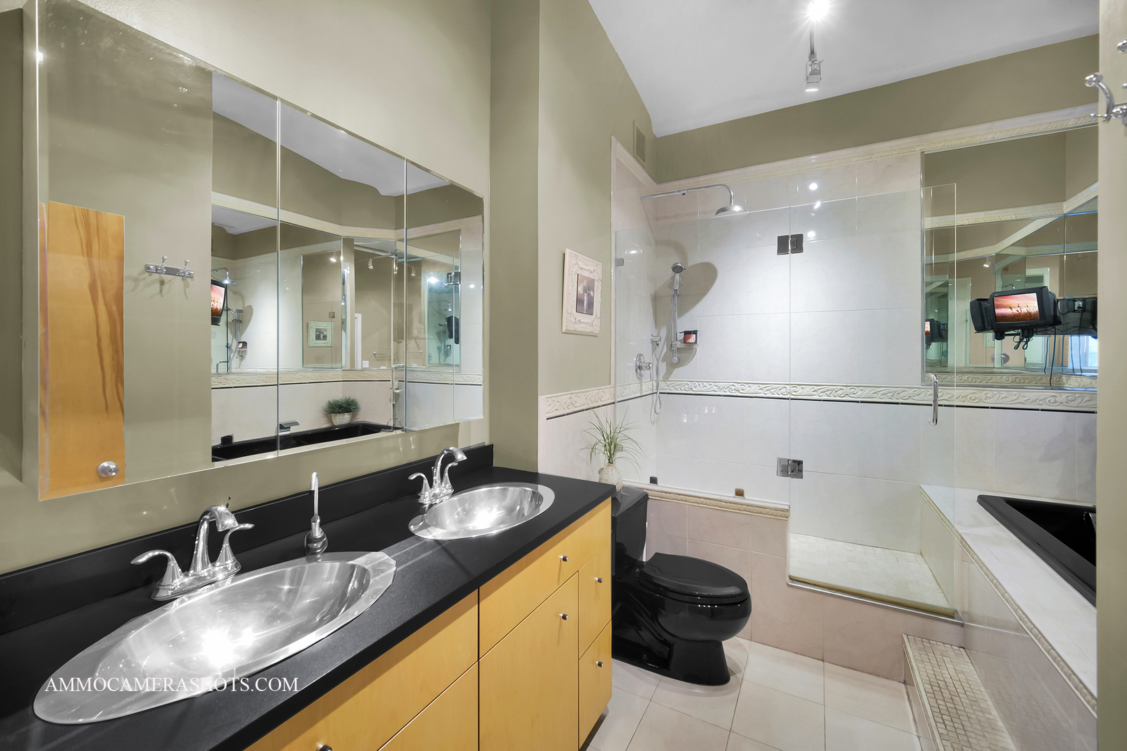 801 S Wells Street #710, Chicago, IL 60607