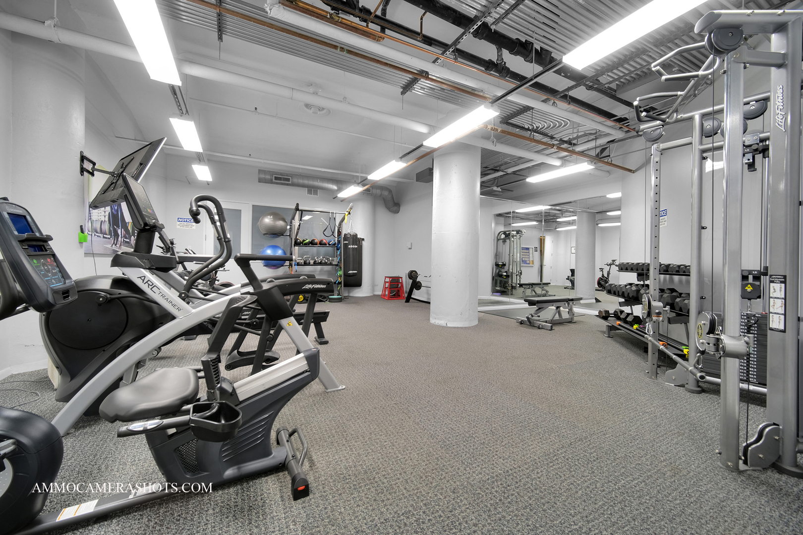 801 S Wells Street #710, Chicago, IL 60607