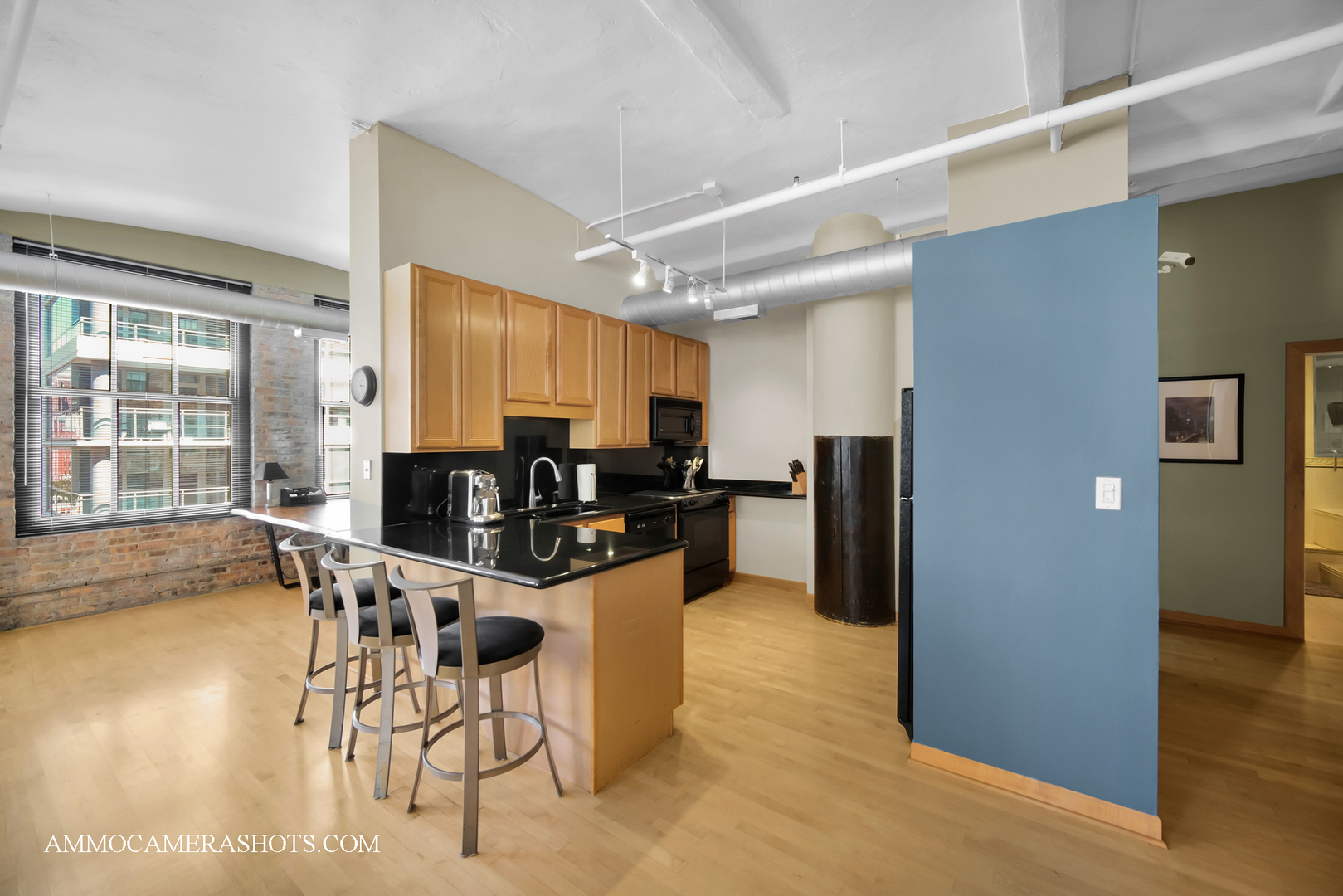 801 S Wells Street #710, Chicago, IL 60607