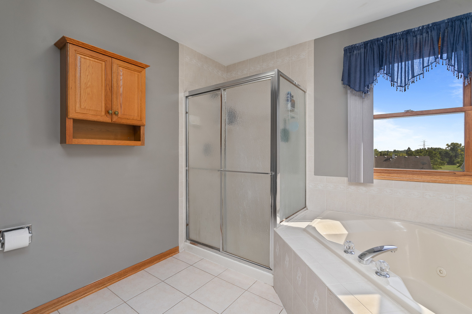 12459 Rosewood Drive, Homer Glen, IL 60491