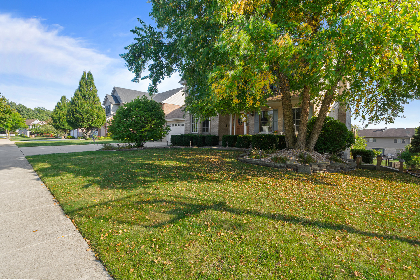 12459 Rosewood Drive, Homer Glen, IL 60491