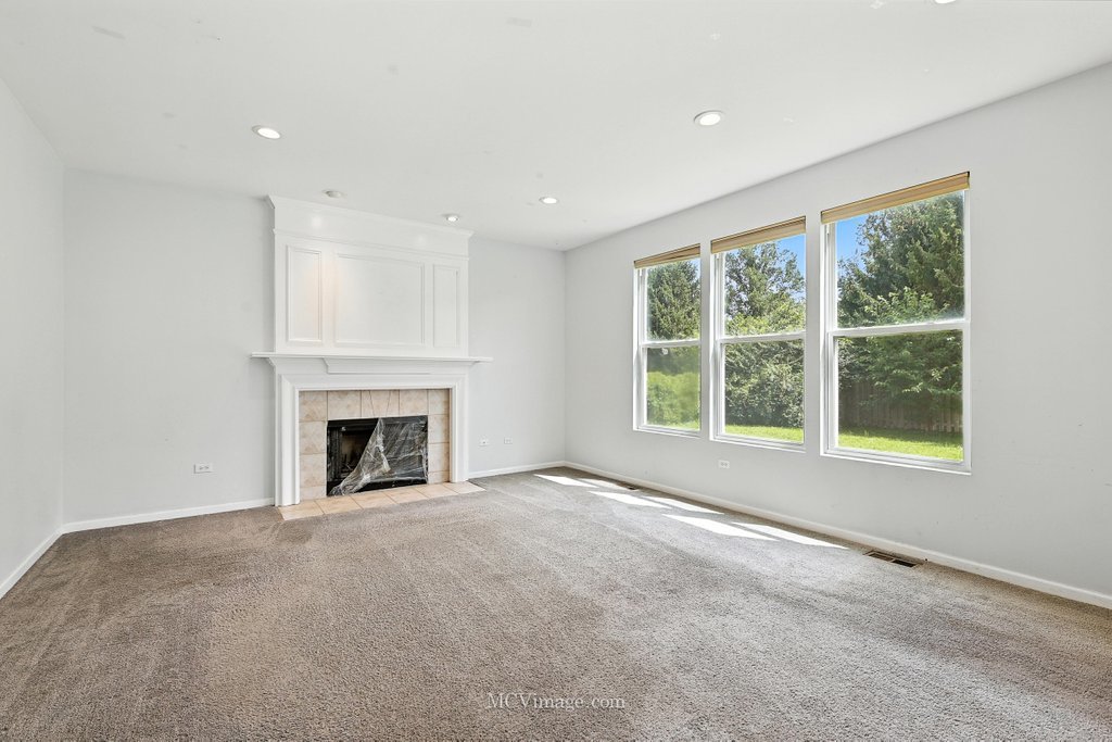 402 Marshall Ash Street, Bolingbrook, IL 60490