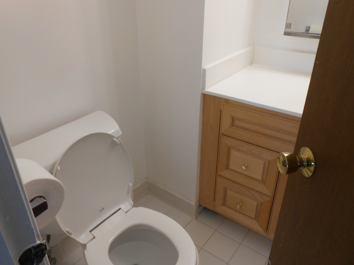 6330 N LINCOLN Avenue #2A, Morton Grove, IL 60053