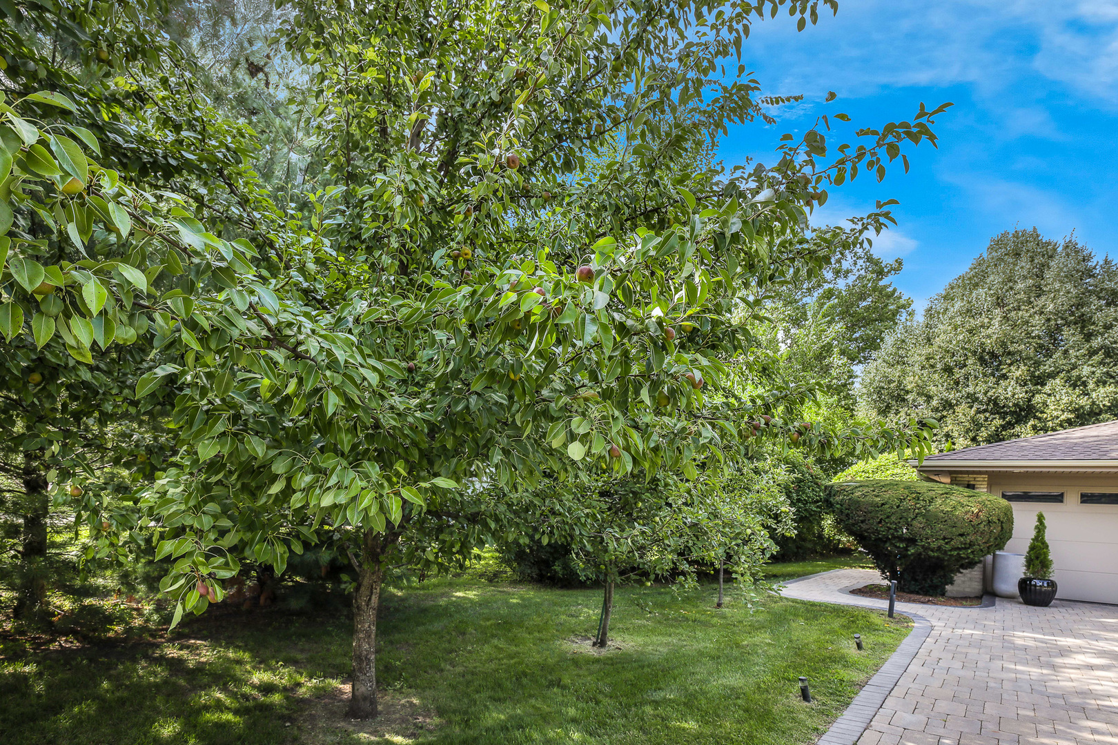 372 Longacres Lane, Palatine, IL 60067