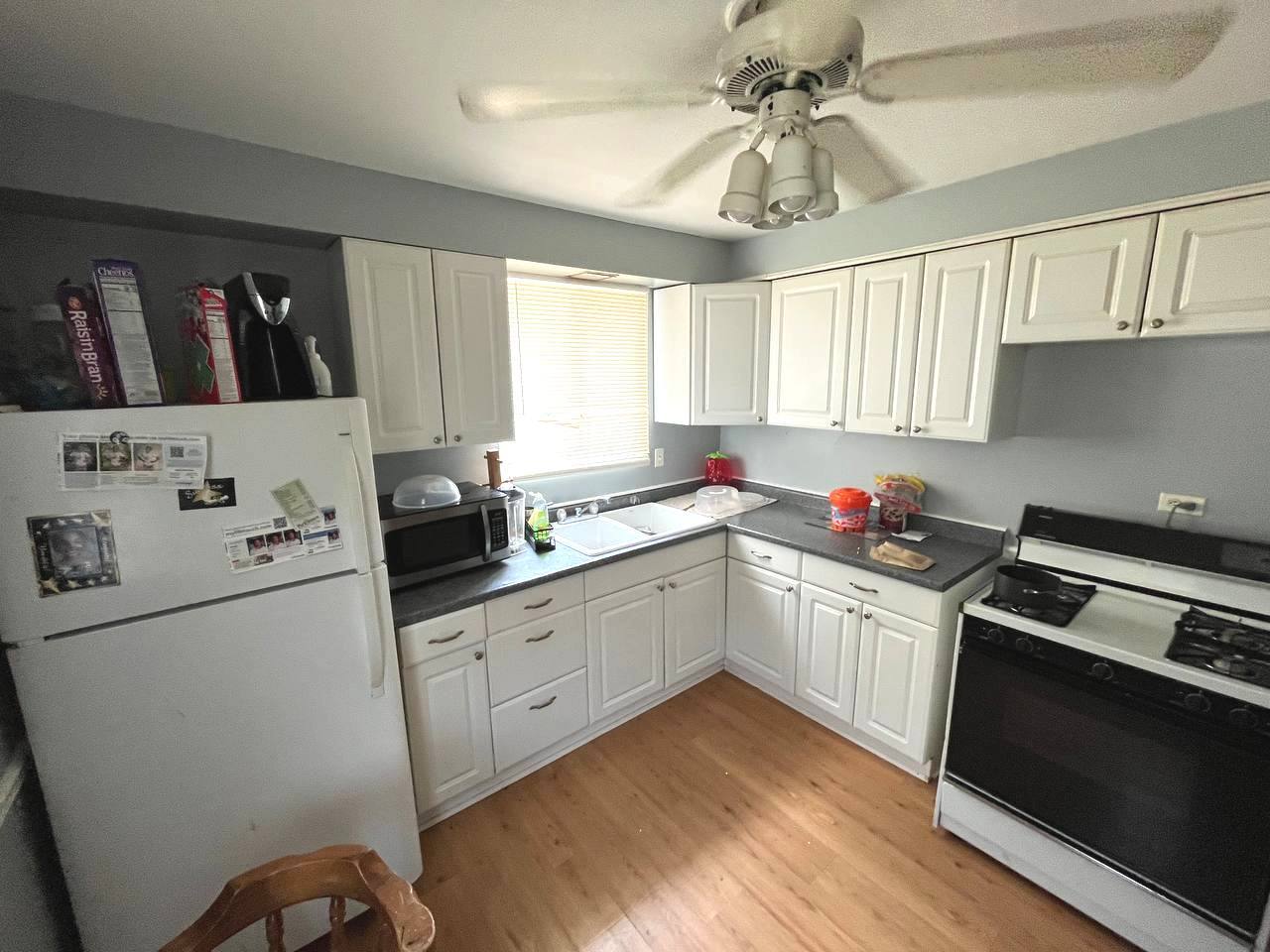 223 S Orchard Drive, Park Forest, IL 60466