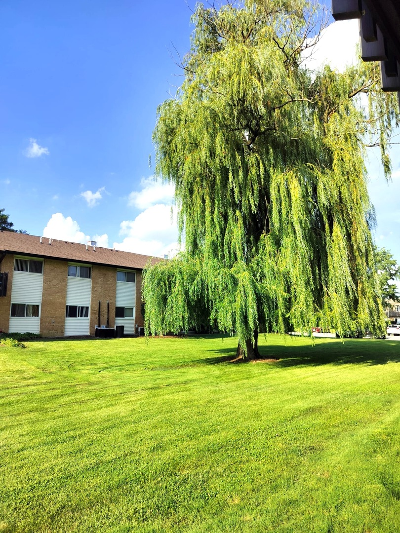 5B Kingery Quarter #107, Willowbrook, IL 60527