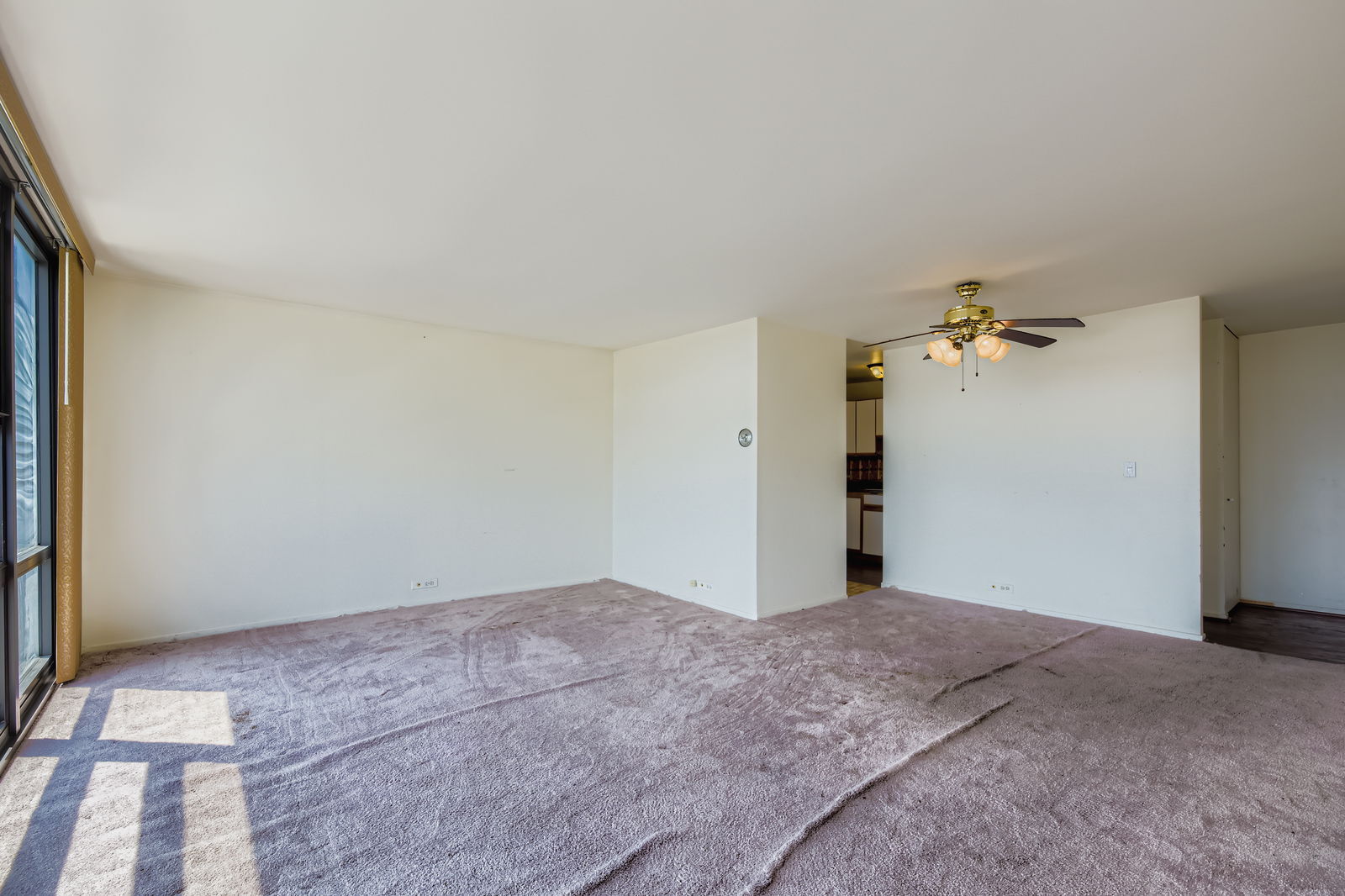 3001 S Michigan Avenue #1305, Chicago, IL 60616