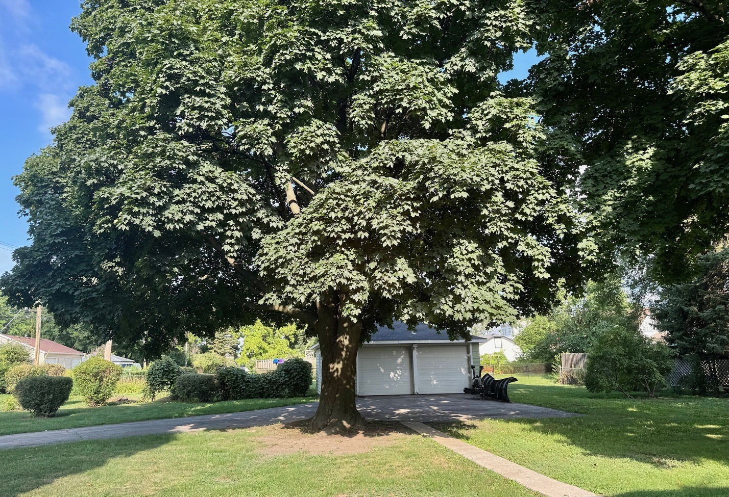 2858 CURTIS Street, Des Plaines, IL 60018